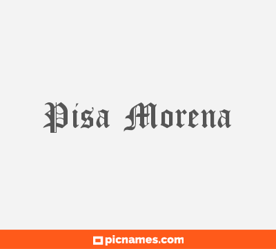 Pisa Morena